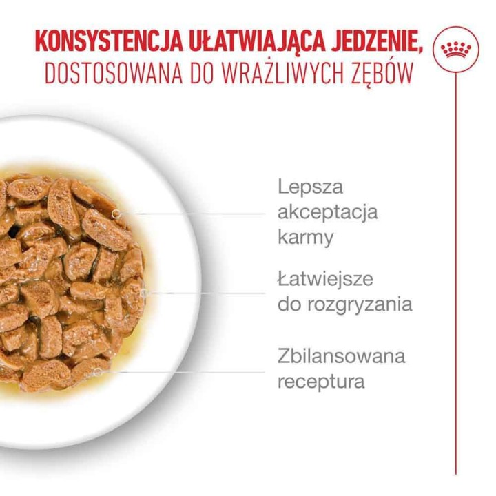 ROYAL CANIN Ageing 11+ pezzetti in sugo - cibo umido per gatti - 12x85g