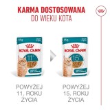 ROYAL CANIN Ageing 11+ pezzetti in sugo - cibo umido per gatti - 12x85g