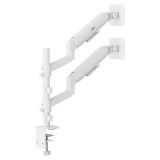 Ergo Office Supporto/Gancio per 2 Monitor Molla a Gas 17 -32 1-10 kg Bianco Opaco ER-692 W