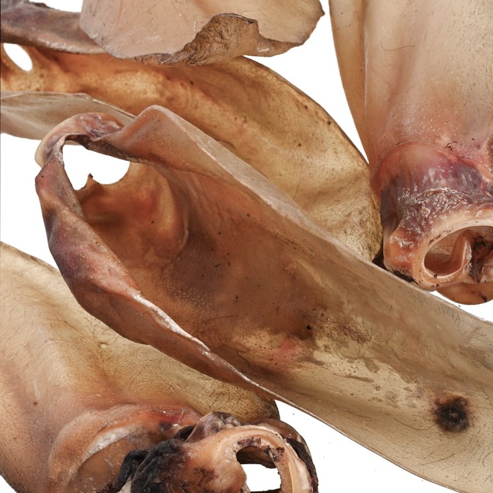 PETITTO Orecchio di manzo con cartilagine - snack per cani - 10