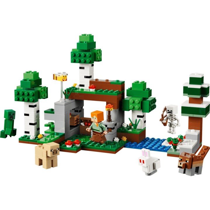 LEGO MINECRAFT 21593 Avventura della Prima Notte