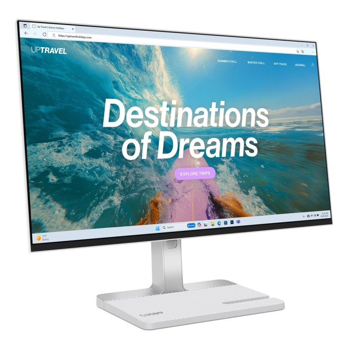 Lenovo L24D-4C Monitor per computer 60.5 cm (23.8 ) 1920 x 1080 pixel Full HD LCD Grigio