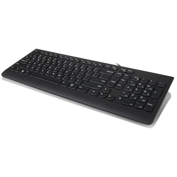 Lenovo 300 Tastiera con mouse incluso universale USB QWERTY US inglese nero