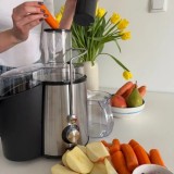 MPM MSO-18-M Estrattore di succo 1000 W Nero Argento