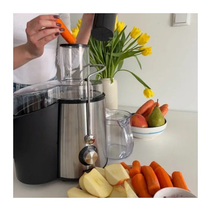 MPM MSO-18-M Estrattore di succo 1000 W Nero Argento