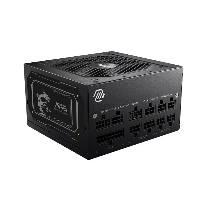MSI MAG A850GL 850W PCIE5 II 80+ alimentatore Gold (306-7ZP8D11-CE0)