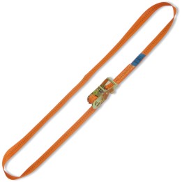 Beta 8186 8 Sistema di ancoraggio ad anello LC 2000kg con cricchetto tenditore nastro PES 081860008