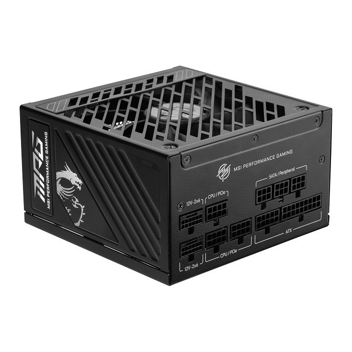 MSI MPG A1250GS 1250W PCIE5 80+ alimentatore Gold (306-7ZPFX11-CE0)