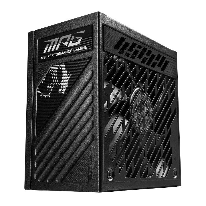 MSI MPG A1250GS 1250W PCIE5 80+ alimentatore Gold (306-7ZPFX11-CE0)