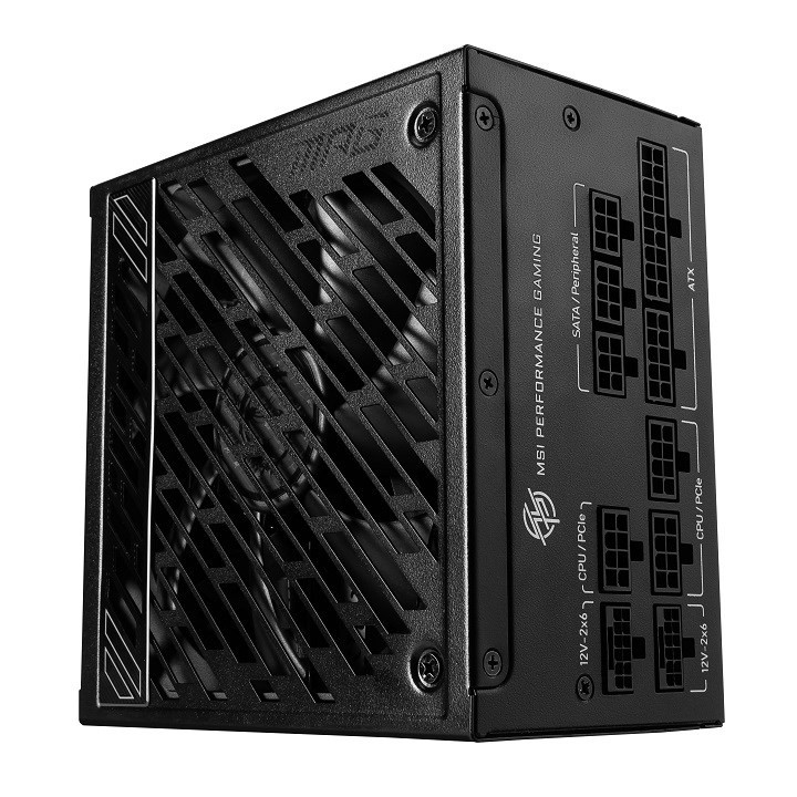 MSI MPG A1250GS 1250W PCIE5 80+ alimentatore Gold (306-7ZPFX11-CE0)