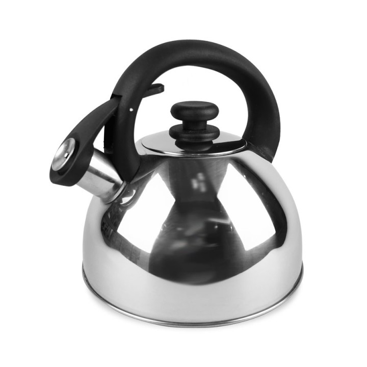 Maestro MR-1302 bollitore 2.5 L Acciaio inossidabile