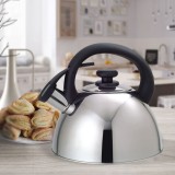 Maestro MR-1302 bollitore 2.5 L Acciaio inossidabile