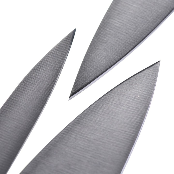 ZWILLING 36130-005-0 set di coltelli/posate da cucina 2 pz