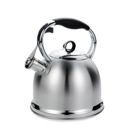 Maestro MR-1334 bollitore 2.9 L Acciaio inossidabile