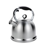 Maestro MR-1334 bollitore 2.9 L Acciaio inossidabile