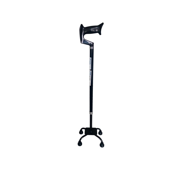 Sedia a rotelle - quad cane
