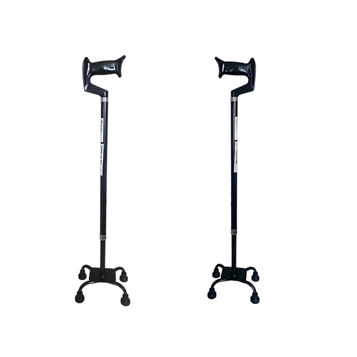 Sedia a rotelle - quad cane