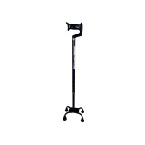 Sedia a rotelle - quad cane