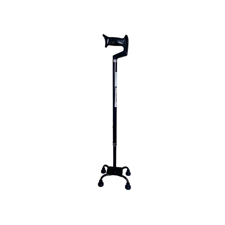 Sedia a rotelle - quad cane