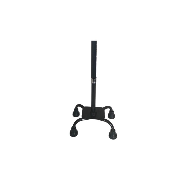 Sedia a rotelle - quad cane