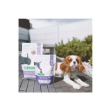 NATURE'S PROTECTION Adult Agnello - cibo secco per cani - 12kg