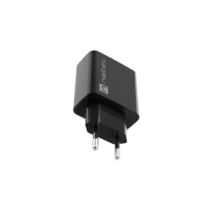 NATEC CARICABATTERIE DA RETE RIBERA USB-C 20W PD