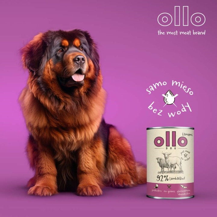 OLLO Umami Agnello e manzo - cibo umido cani - 850g