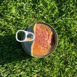 OLLO Pure Manzo e trippa verde - cibo umido per cani - 850g