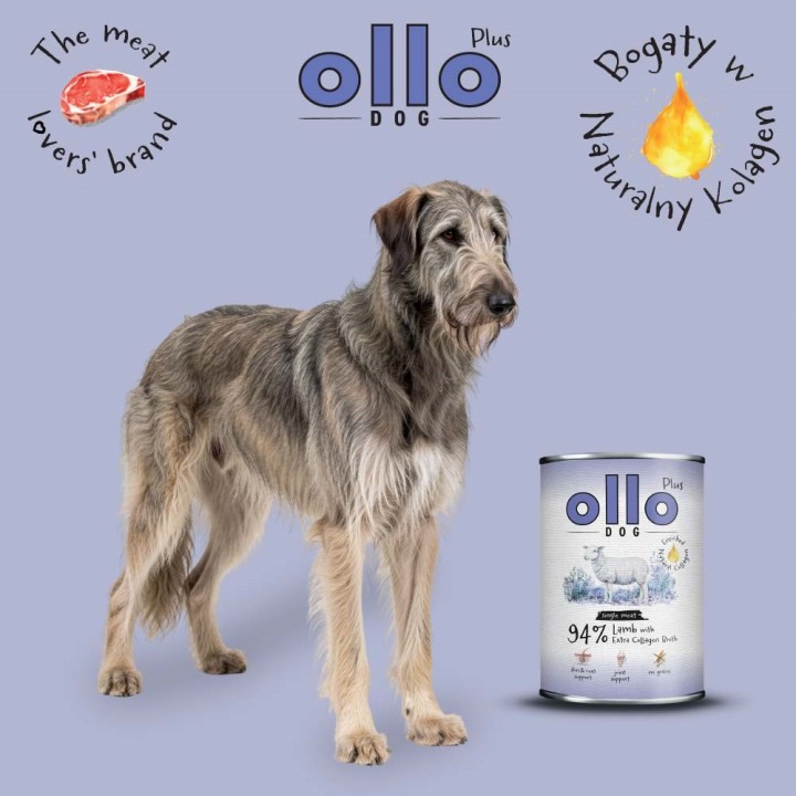 OLLO Plus Collagene Agnello - cibo umido per cani - 400g
