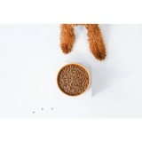 NATURE'S PROTECTION Superior Care Red Coat Adult Small breed Grain free Salmone - cibo secco per cani - 10kg