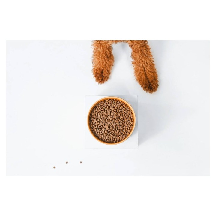 NATURE'S PROTECTION Superior Care Red Coat Adult Small breed Grain free Salmone - cibo secco per cani - 10kg