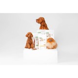 NATURE'S PROTECTION Superior Care Red Coat Adult Small breed Grain free Salmone - cibo secco per cani - 10kg