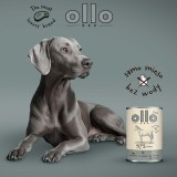 OLLO Pure Horse Mono - cibo umido per cani - 850g
