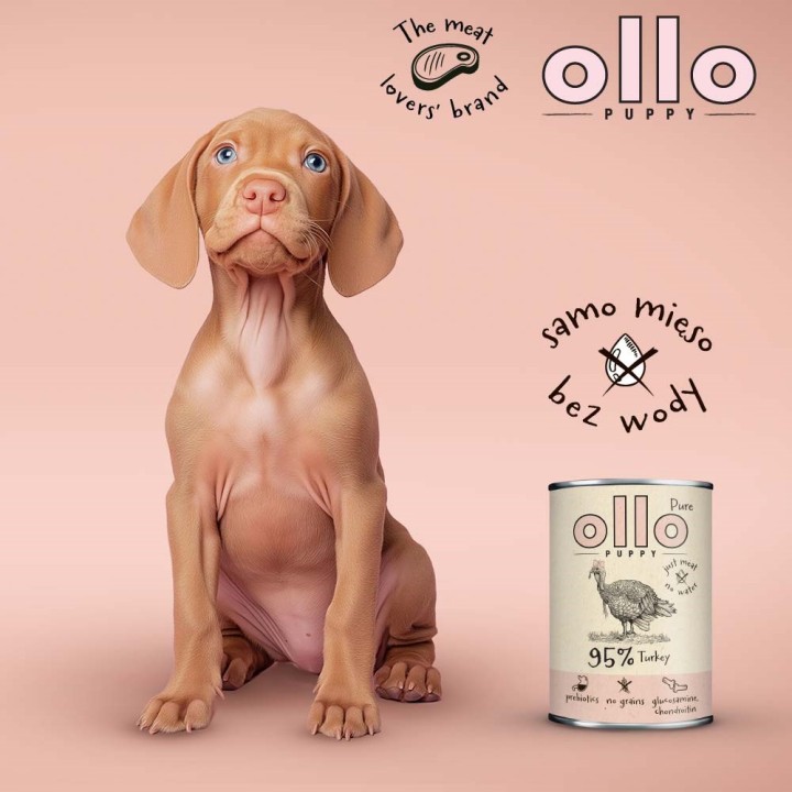 OLLO Puppy Puro tacchino - cibo umido cani - 850 g