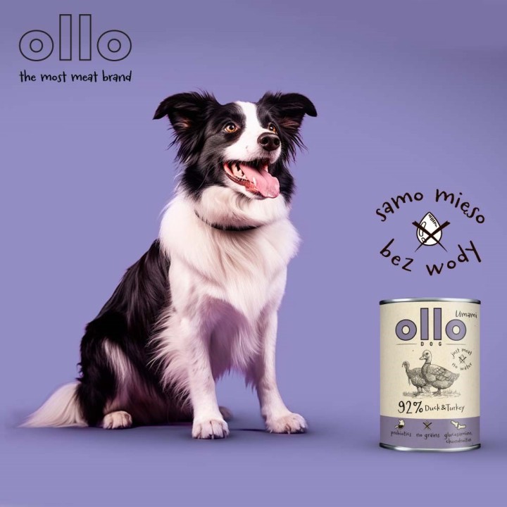 OLLO Umami Anatra e tacchino - cibo umido cani - 850g