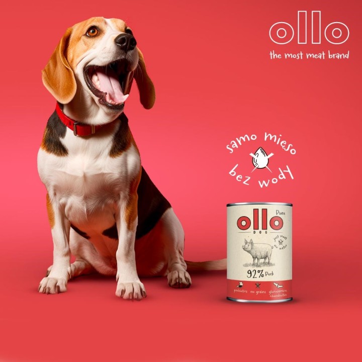 OLLO Puro maiale - cibo umido cani - 850g