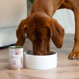 PAKA ZWIERZAKA Pepe Vet Hypoallergenic Mono Cavallo - cibo umido per cani - 400g
