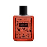 Pan Drwal AFTERSHAVE STEAM PUNK Dopobarba Working Class Hero 100 ml