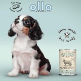 OLLO Puppy Umami Manzo e trippa verde con fegato d'anatra - cibo umido cani - 850g