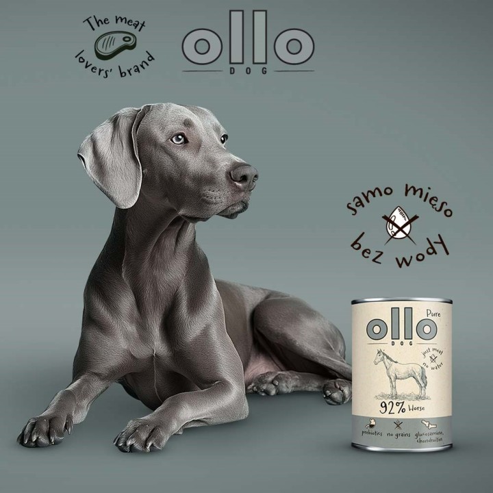 OLLO Puro cavallo - cibo umido cani - 400g
