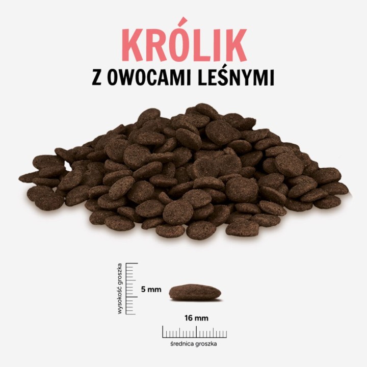 PAKA ZWIERZAKA Coniglio con frutti di bosco L – cibo secco per cani – 9kg