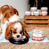 PERRO Junior Maiale con carota - cibo umido per cani - 410g
