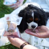 PAKA ZWIERZAKA Lio Pepe Manzo Mono - snack per cani e gatti - 60g