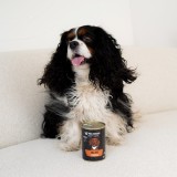 PAKA ZWIERZAKA Seventh Heaven Cervo con lamponi Mono - cibo umido per cani - 400g