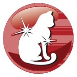 PREVITAL Cibo per gatti Adult con manzo - Cibo secco per gatti - 1.4 kg