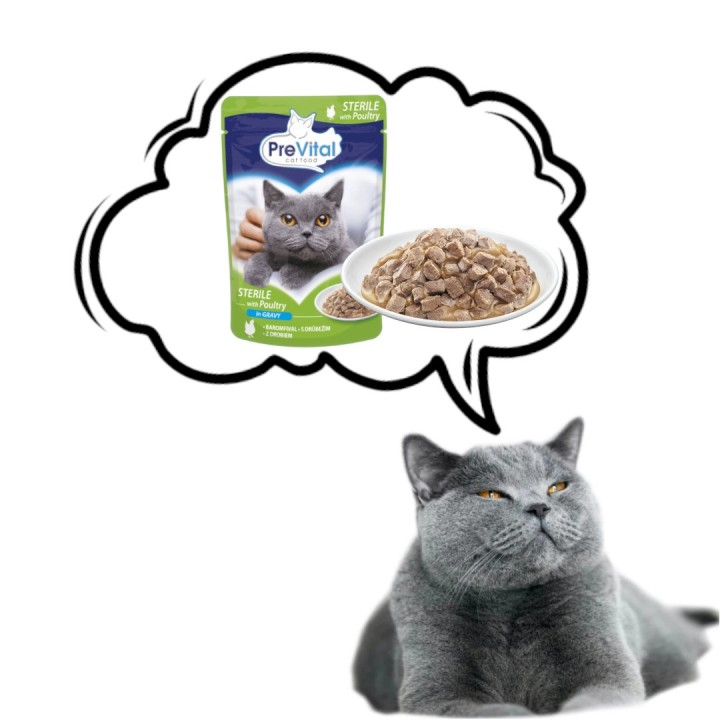 PREVITAL Cibo per gatti Sterile Pollame in salsa - Cibo umido per gatti - Bustina 100 g