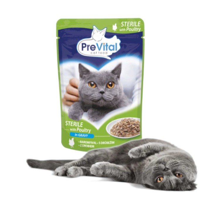 PREVITAL Cibo per gatti Sterile Pollame in salsa - Cibo umido per gatti - Bustina 100 g
