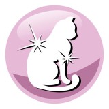 PREVITAL Senior salmone - cibo secco per gatti - 1 4kg