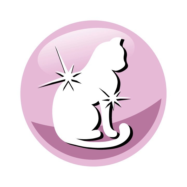 PREVITAL Senior salmone - cibo secco per gatti - 1 4kg