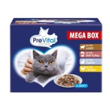 PREVITAL Cibo per gatti Megabox con agnello manzo coniglio e pollo in sugo - Cibo umido per gatti - 24 x 100g